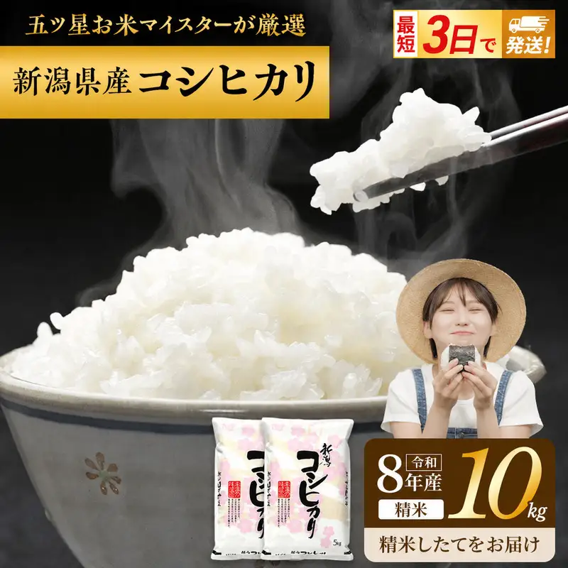 R8年産 新潟県産 コシヒカリ  10kg 新潟県 新潟市産 令和8年産 お米 精米 米 ご飯 送料無料