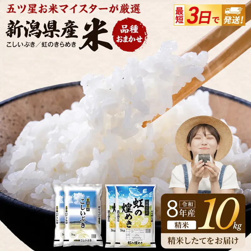 R8年産 新潟県産 品種おまかせ  10kg 新潟県 新潟市産 令和8年産 お米 精米 米 ご飯 送料無料