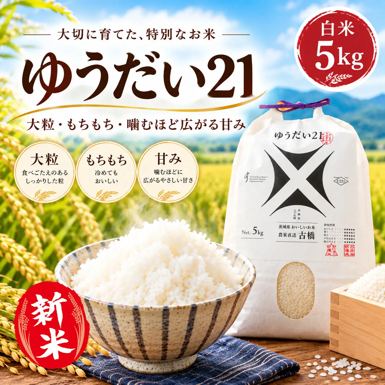 令和8年産 新米 茨城県産 ゆうだい21 5㎏ 精米 