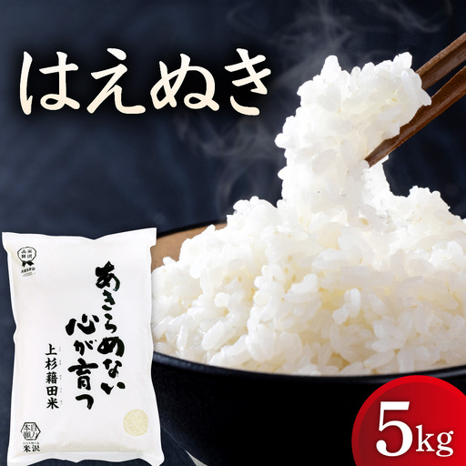 【先行予約】令和8年産 はえぬき 5kg ( 5kg × 1袋 )