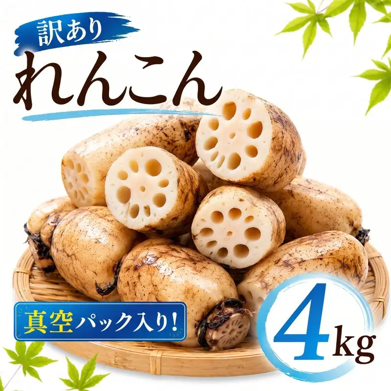 れんこん 訳あり シャキシャキ レンコン 真空パック 小分け | 【れんこん】krn015_X2