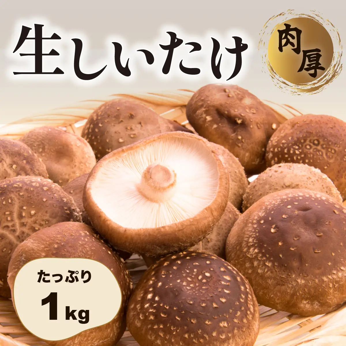 肉厚生しいたけ 1kg 椎茸 しいたけ シイタケ 肉厚 生椎茸 国産