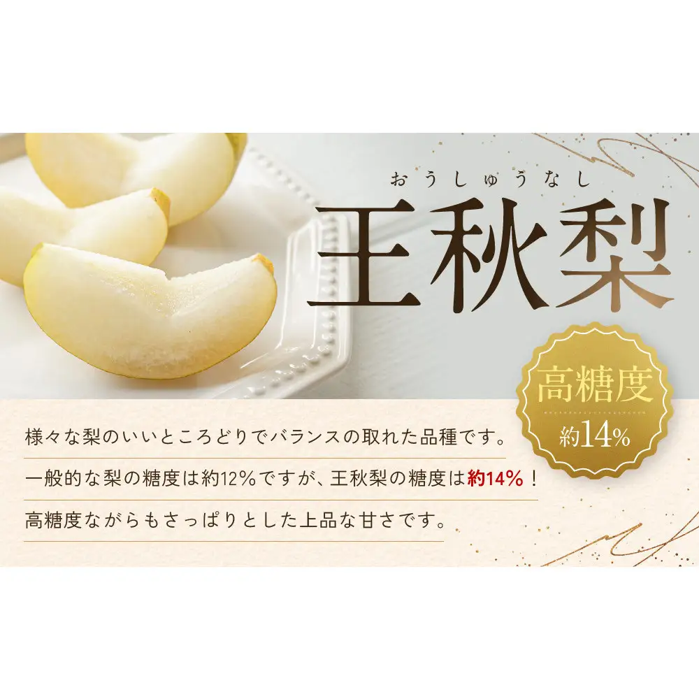訳あり 数量限定 鳥取県産 王秋梨（おうしゅうなし） 約5kg （7～15玉）≪2026年11月中旬頃出荷≫ 【鳥取県 境港市】