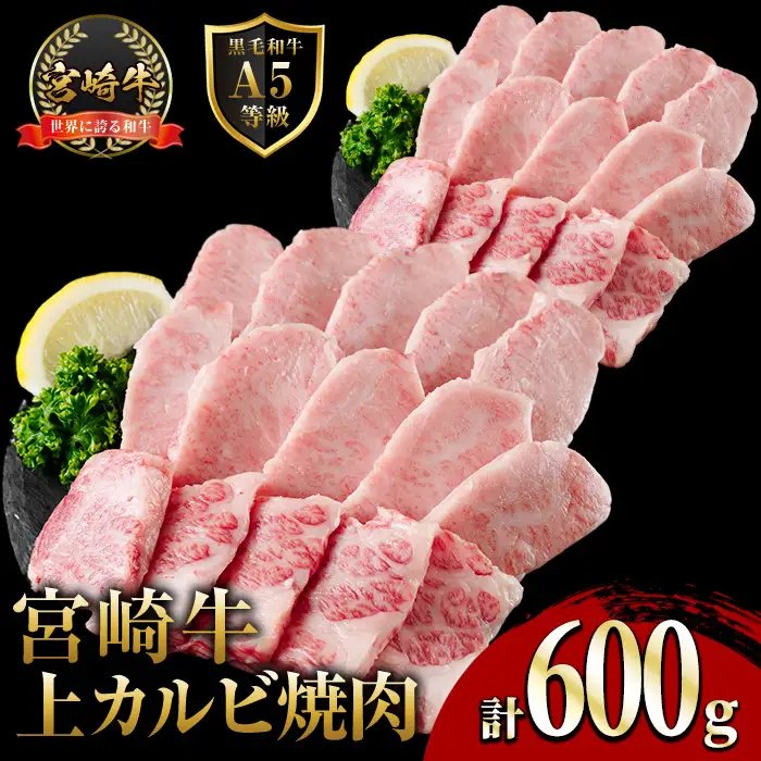 新鮮チルド便 宮崎牛 A5 上カルビ(計600g・300g×2P) 焼肉 カルビ 焼肉 和牛 BBQ アウトドア キャンプ 小分け パック 真空パック ブランド牛 ランク パーティー ご褒美 おかず【OT-02】【KNOT合同会社】