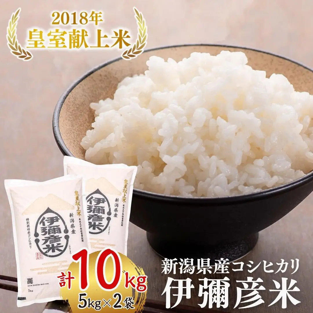 2027年3月発送】令和8年産 伊彌彦米 10kg(5kg×2袋) 新潟県産コシヒカリ