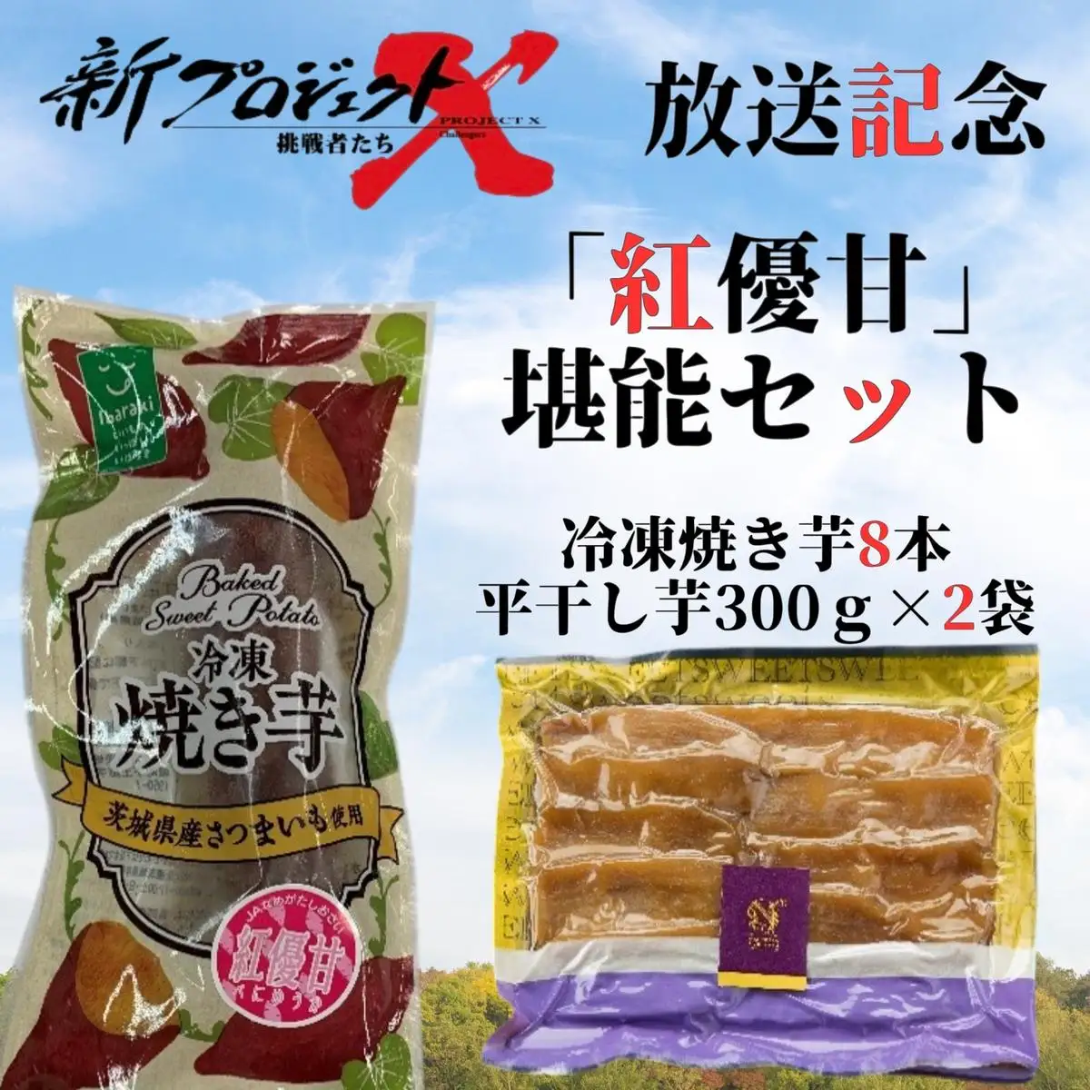 【新プロジェクトX放送～行方かんしょ～】 「紅優甘」堪能セット（冷凍焼き芋8本・平干し芋300ｇ×2袋セット）|茨城県 行方市 ふるさと納税 冷凍焼き芋 やきいも 平干し芋 ほしいも 紅優甘（AE-155）