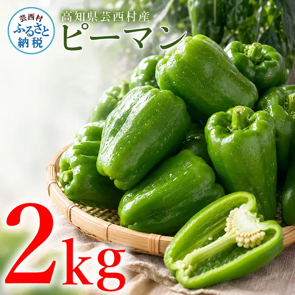 ピーマン 2kg P.SUKE（ピースケ）野菜