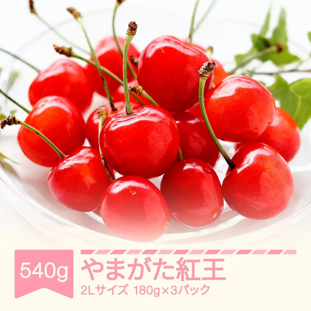先行予約 さくらんぼ やまがた紅王  2Lサイズ 540g 令和9年産 sb-ybs2x540