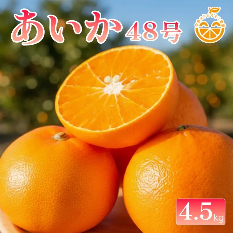 中島産 あいか48号 ( 紅プリンセス と同品種 ) 【2027年2月中旬から