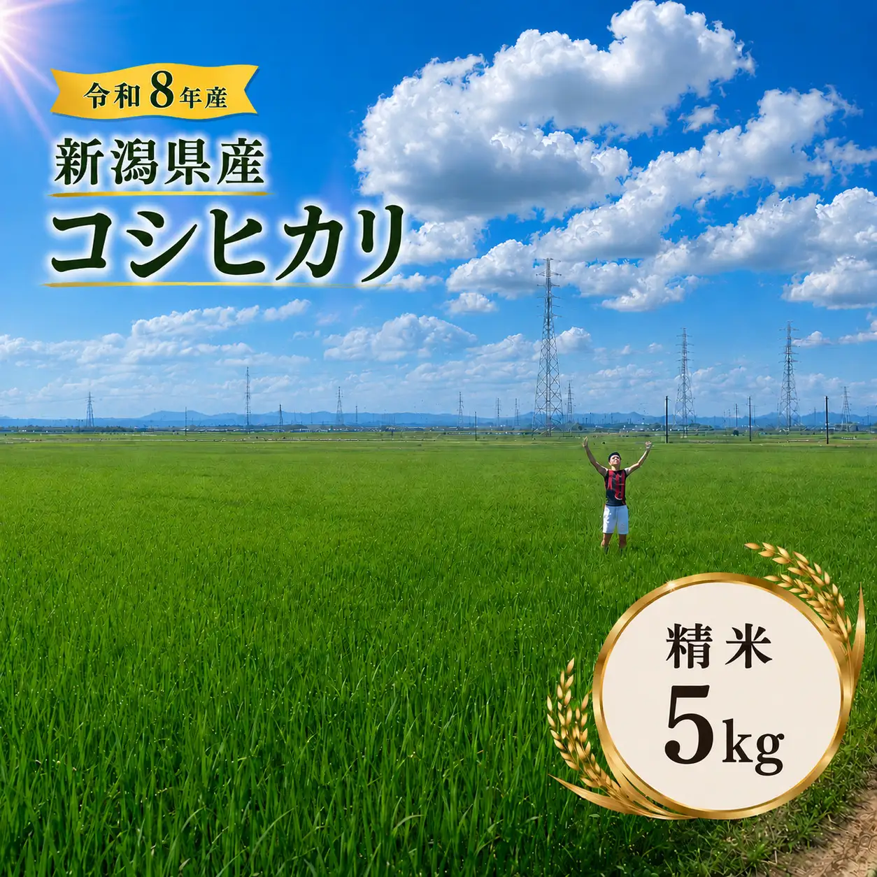 R8年産 新潟県産 コシヒカリ 精米 5kg