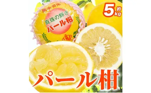 2027年1月下旬～2月下旬迄発送予定】パール柑 文旦 6 ～ 18玉 約5kg