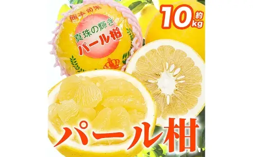 【2027年1月下旬～2月下旬迄発送予定】パール柑 文旦 12 ～ 36玉 約10kg 柑橘類 柑橘系 柑橘 果物 くだもの フルーツ 果実 果汁 果肉 甘み 酸味 ジューシー 国産 熊本県産