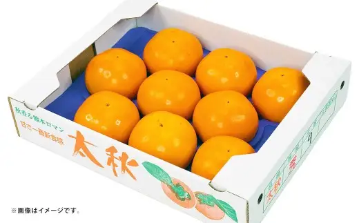 太秋柿 約2kg （ 4 ～ 8玉 ） 柿 かき カキ 果物 くだもの フルーツ 果実 果肉 食感 甘み 国産 熊本県産 冷蔵 【 2026年10月上旬～11月上旬発送予定 】