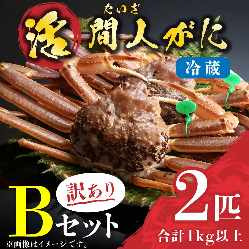 （訳あり）活間人がに　2匹　Bセット　2/22～3/21発送予定