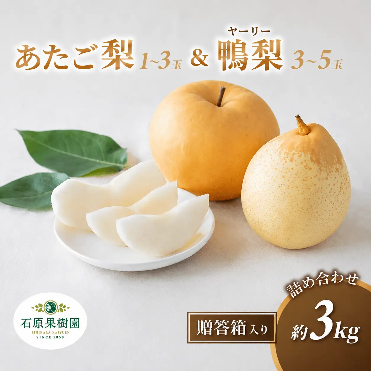 梨 詰め合わせ あたご梨1～3玉 ヤーリー梨3～5玉 計3kg 贈答箱 岡山県産 【ishk023-01】