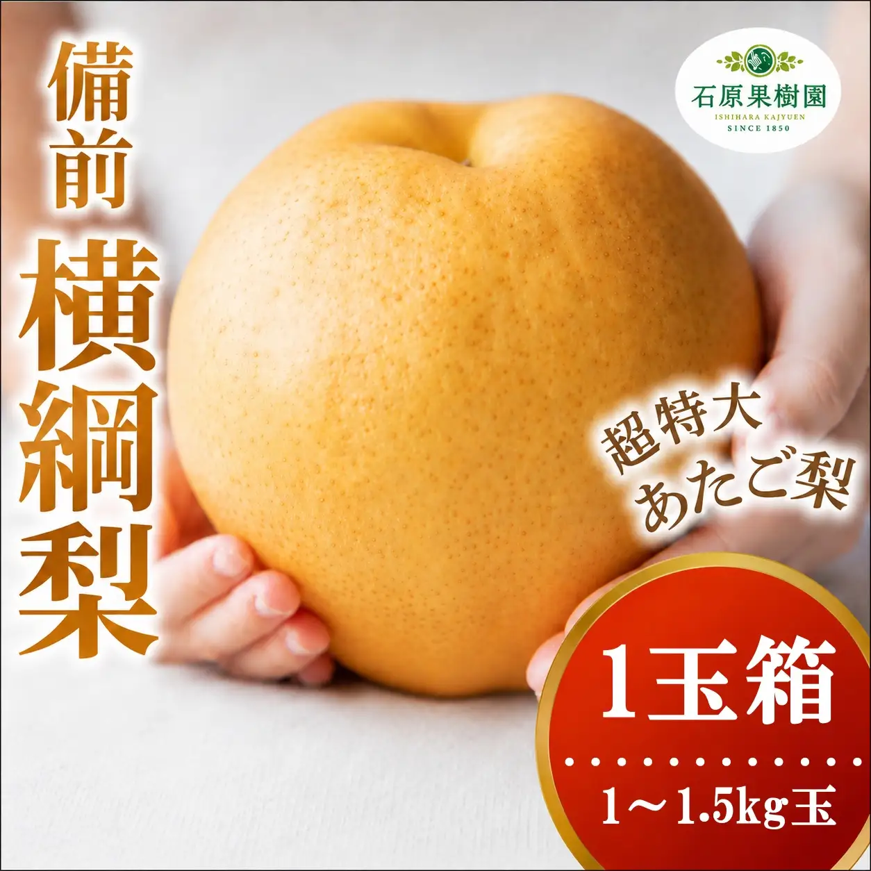 備前横綱梨 あたご梨 1玉箱 赤秀 1～1.5kg玉 岡山県産 愛宕梨【ishk027-01】