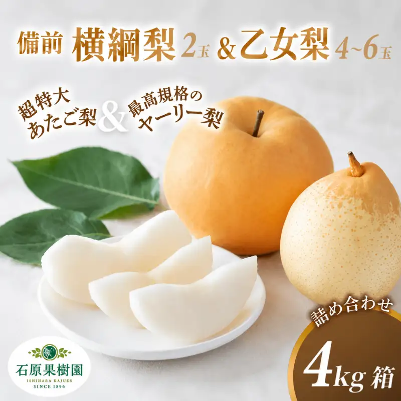 梨 詰め合わせ 4kg箱 横綱梨1玉(1～1.5kg玉) 乙女梨4～6玉 岡山県産【ishk035-01】