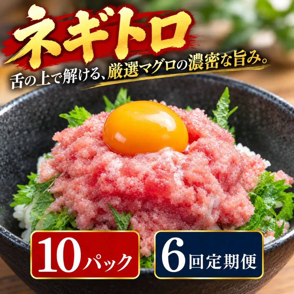 6回定期便 まぐろのネギトロ 10パック 【ねぎとろ】