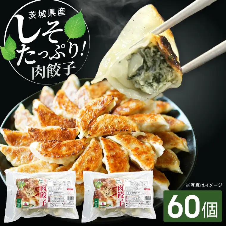 餃子 肉餃子 しそたっぷり肉餃子 30個×2袋 ローズポーク ブランド豚  餃子 ぎょうざ 中華 そうざい 青しそ シソ 惣菜   時短 簡単調理 冷凍 【茨城県共通返礼品/行方市産】（96-07)