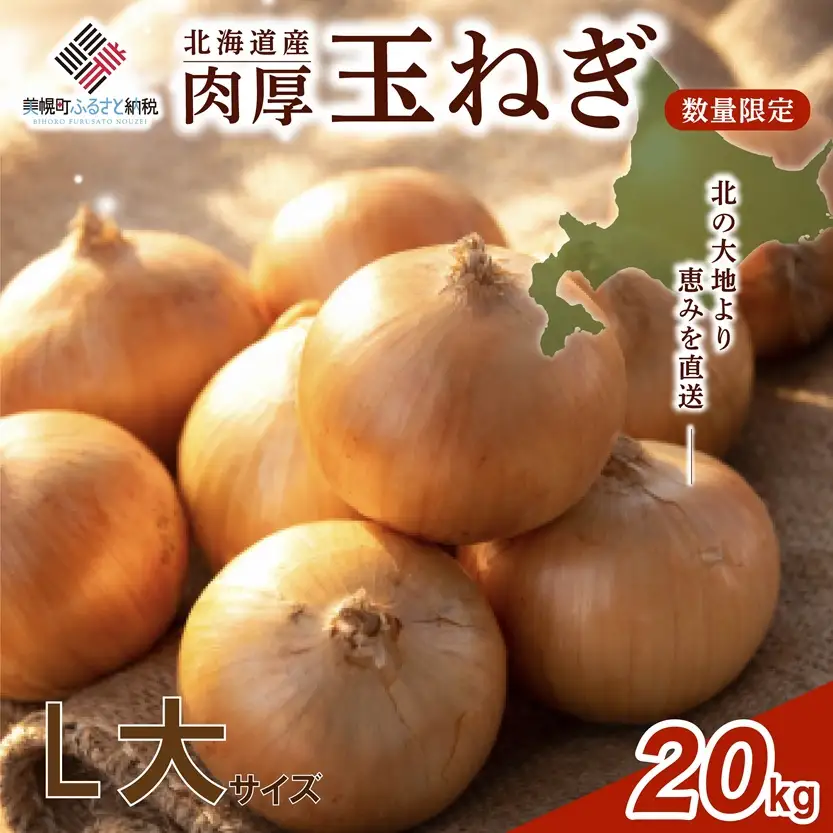 【 先行予約】玉ねぎ L大サイズ 20kg 美幌町産 (2026年10月以降順次発送) たまねぎ AF
