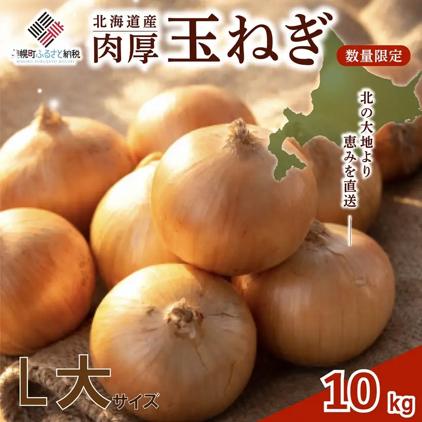 【 先行予約】玉ねぎ L大サイズ 10kg 美幌町産 (2026年10月以降順次発送) たまねぎ AF