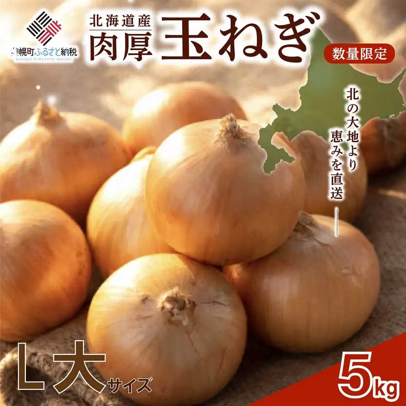 【 先行予約】玉ねぎ L大サイズ 5kg 美幌町産 (2026年10月以降順次発送) たまねぎ AF