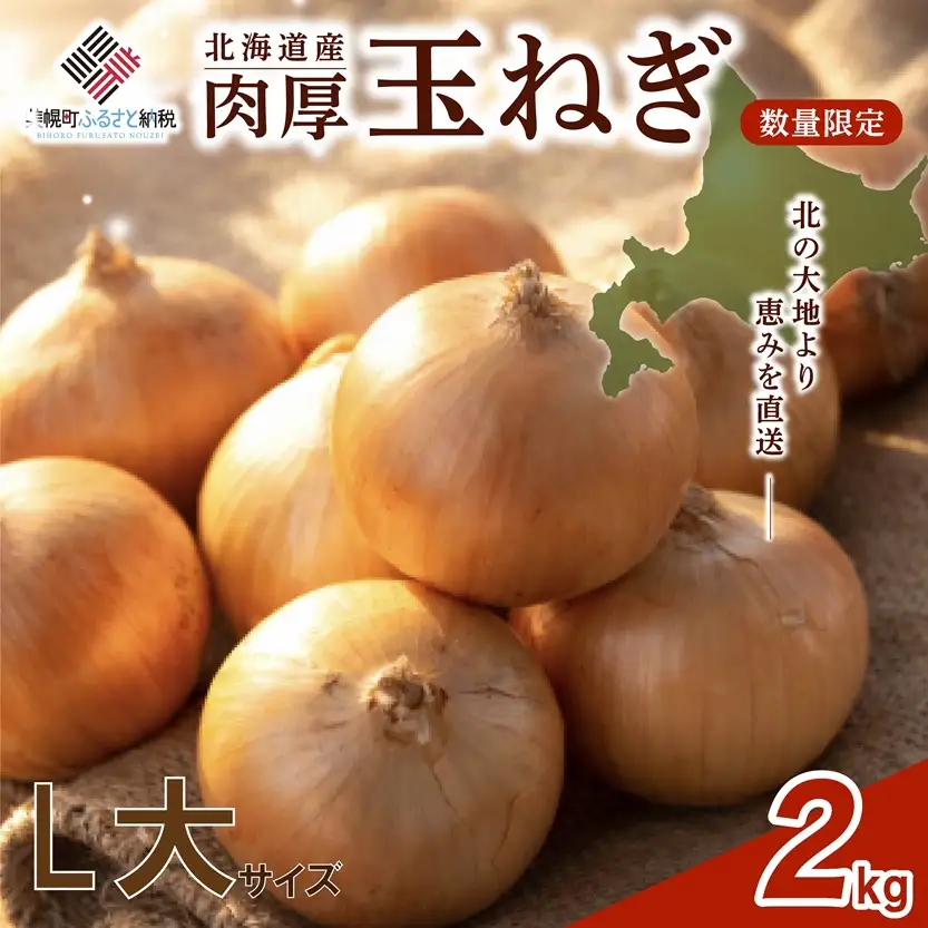 【 先行予約】玉ねぎ L大サイズ 2kg 美幌町産 (2026年10月以降順次発送) たまねぎ AF