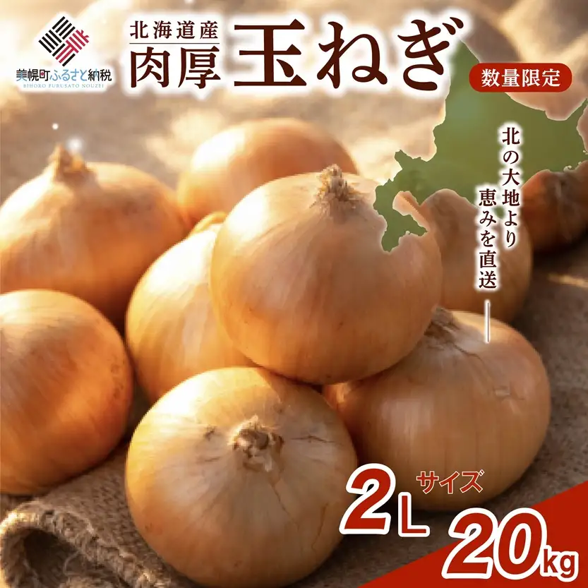 【 先行予約】玉ねぎ 2Lサイズ 20kg 美幌町産 (2026年10月以降順次発送) たまねぎ AF