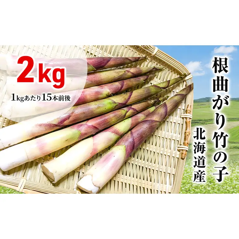たけのこ 根曲がり竹の子 2kg 1kgあたり15本程度 山菜直売店中野渡 北海道産 竹の子 タケノコ 野菜 山菜 新鮮 味噌汁 春の恵 調理 冷蔵配送 北海道 芦別市