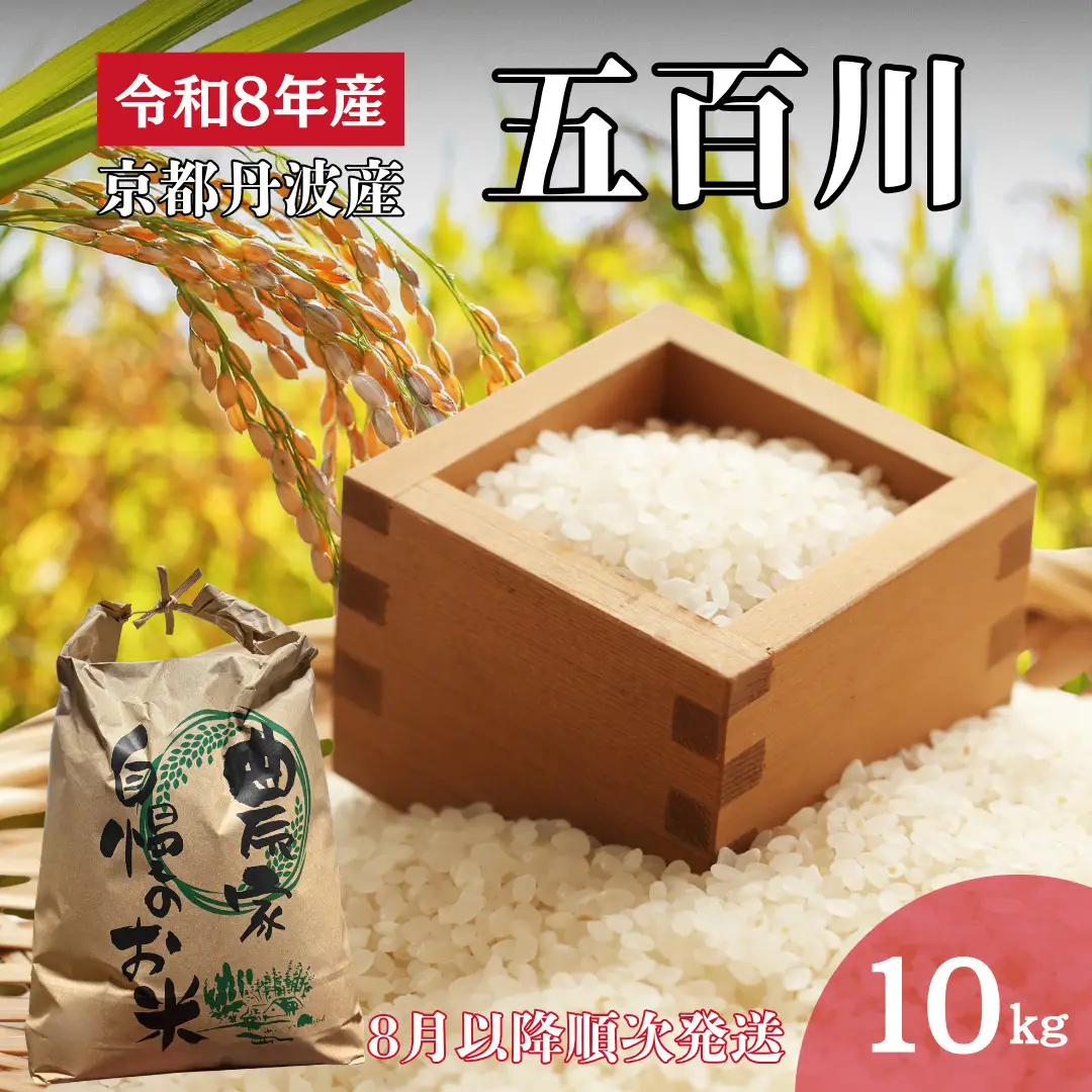 令和8年産 京都丹波産 五百川 10kg 精米 お米 新米 南丹市 京都 令和8年 10キロ 新米26　米 コメ 白米 ごはん 白飯 京都府 南丹市