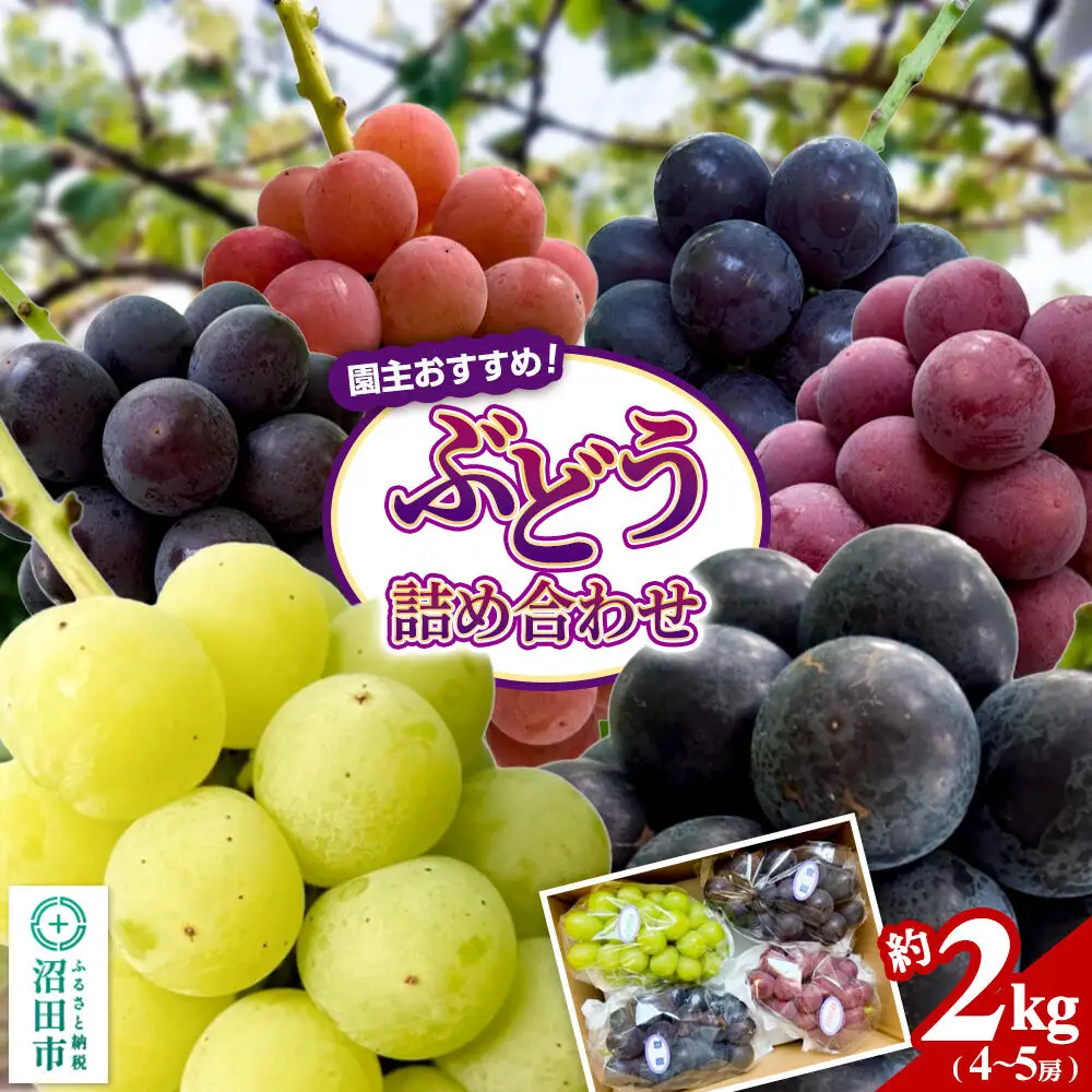 園主おすすめ！ ぶどう詰め合わせ 約2kg（4～5房）群馬県 沼田市 や