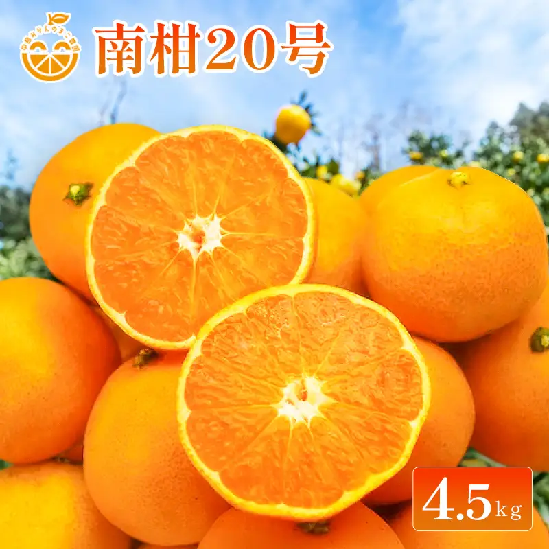 中島産 南柑20号 約4.5kg 愛媛産 みかん フルーツ 【2026年11月下旬頃から順次発送】【PWA015】