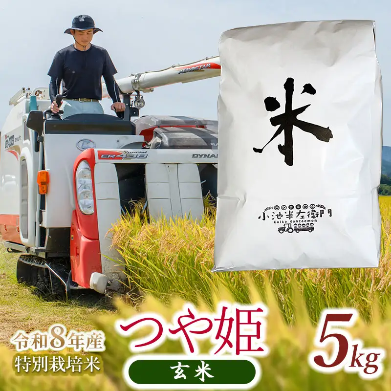 【令和8年産】特別栽培米 つや姫 玄米 5kg (5kg×1袋) 山形県庄内産 小池半左衛門  