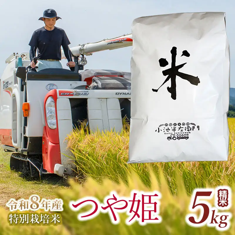 【令和8年産】 特別栽培米 つや姫 精米 5kg (5kg×1袋) 山形県庄内産 小池半左衛門