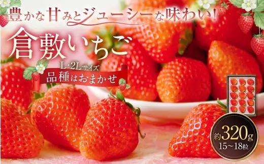 倉敷いちご 品種おまかせ L ・ 2L （ 15 ～ 18粒 ） 約320g イチゴ いちご 苺 果物 くだもの フルーツ 果実 果肉 ジューシー 国産 岡山県産 冷蔵 【 2026年12月上旬～2027年3月下旬迄発送予定 】
