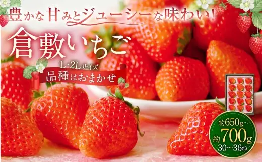 倉敷いちご 品種おまかせ L ・ 2L （ 30 ～ 36粒 ） 約650g ～ 約700g イチゴ いちご 苺 果物 くだもの フルーツ 果実 果肉 ジューシー 国産 岡山県産 冷蔵 【 2026年12月上旬～2027年3月下旬迄発送予定 】
