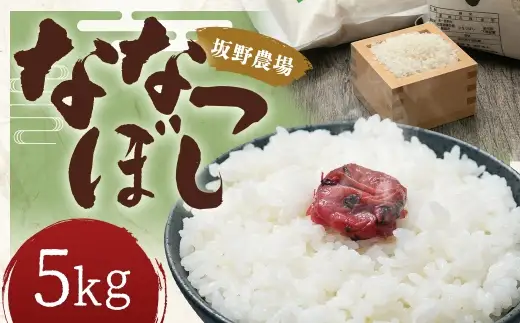【 令和8年産 】 らんこし米 ななつぼし 約5kg × 1袋 お米 米 こめ コメ 白米 白飯 飯 ご飯 おにぎり 精米 ブランド米 国産 北海道産 【 2026年10月上旬発送開始予定 】
