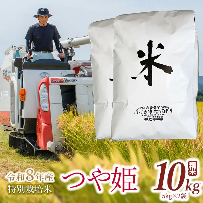 【令和8年産】 特別栽培米 つや姫 精米 10kg (5kg×2袋) 山形県庄内産 小池半左衛門