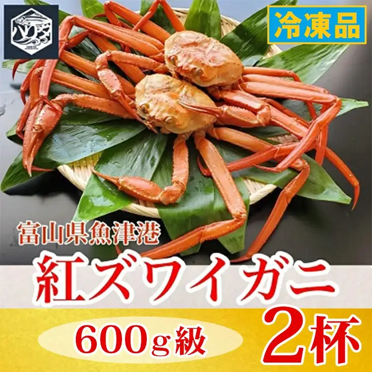 【冷凍】自社漁船直送！魚卸問屋の紅ズワイガニ 600g級×2ハイセット ※2026年9月～発送