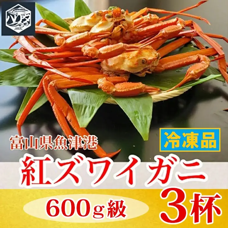 【冷凍】自社漁船直送！魚卸問屋の紅ズワイガニ 600g級×3ハイセット ※2026年9月～発送
