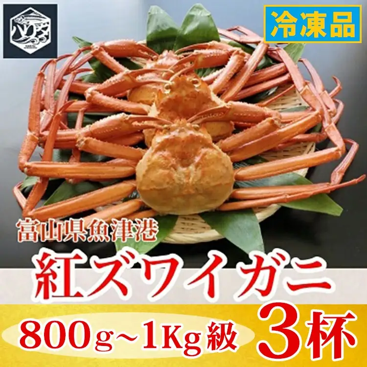 【冷凍】自社漁船直送！魚卸問屋の紅ズワイガニ 800g～1kg級×3ハイセット ※2026年9月～発送