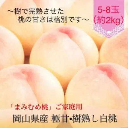 【2027年発送】岡山県産 極甘・樹熟し白桃『まみむめ桃』(ご家庭用) 化粧箱入り【配送不可地域：離島】【1779251】