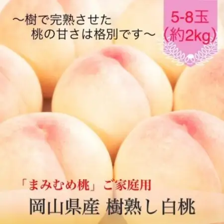 【2027年発送】岡山県産 樹熟し白桃『まみむめ桃』(ご家庭用) 化粧箱入り【配送不可地域：離島】【1779255】