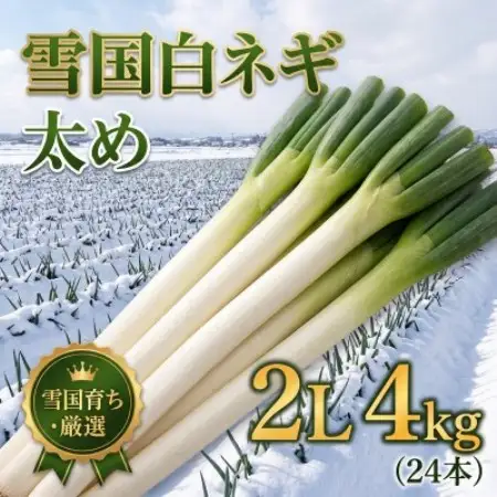 産地直送 山形県産 雪国ネギ 2Lサイズ 4kg【1778654】