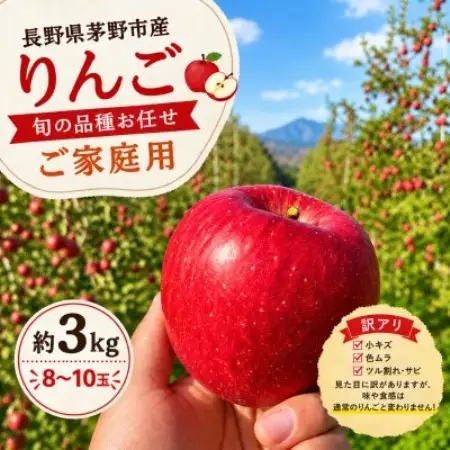 旬の品種お任せ【訳アリ】茅野市産りんご3kg(8～10玉)【配送不可地域：離島・沖縄県】【1780258】