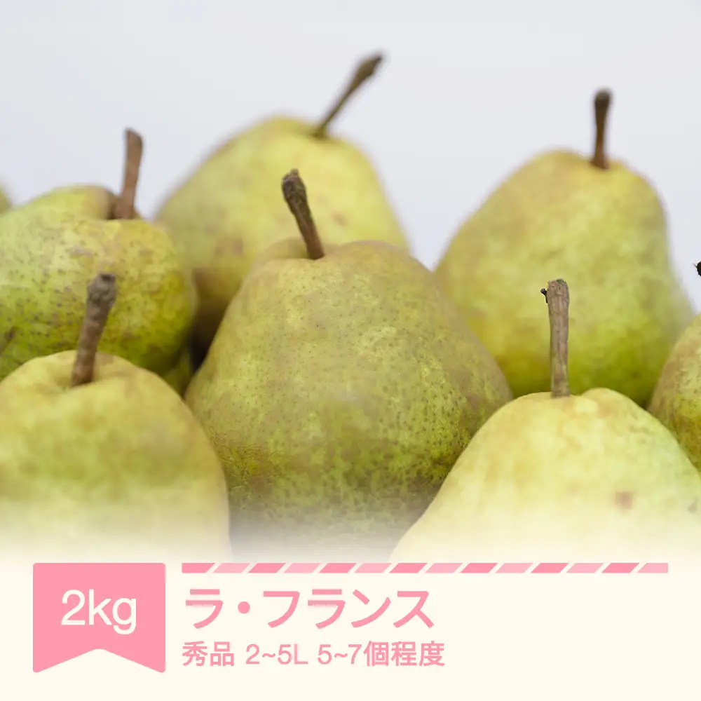 ラ・フランス 秀品 2~5L 約2kg (5~7個入り) 2026年産 令和8年産 nf-lasyx2