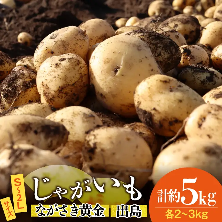 AK077 じゃがいも ながさき黄金 出島 じゃがいも食べ比べセット 計5kg