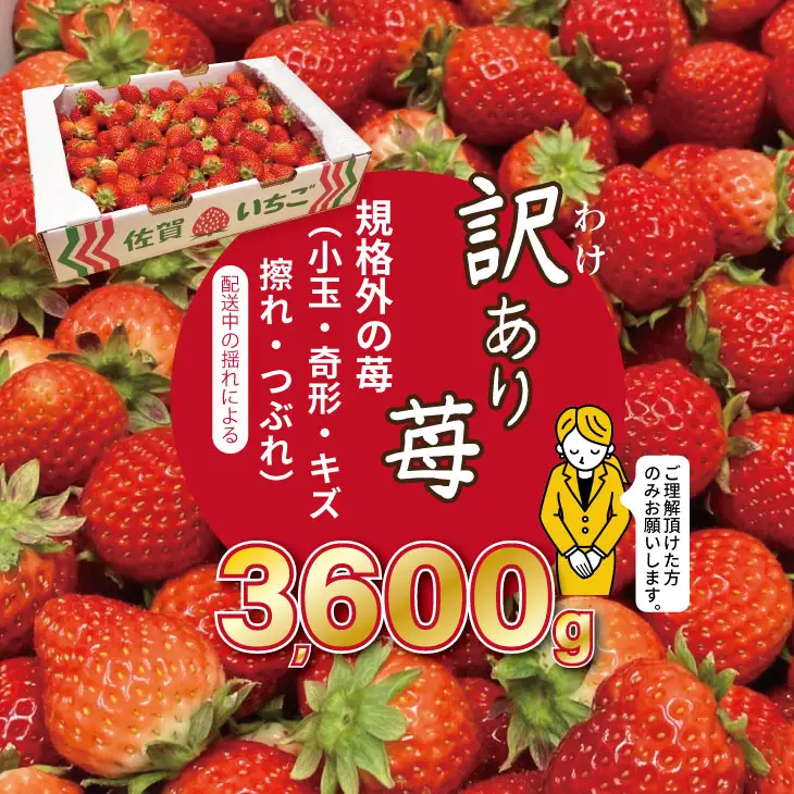 【先行予約】令和9年2月上旬頃出荷開始 訳あり苺（3.600g）ふるかわ農園 大量 段ボール入り イチゴ いちごさん 苺 訳あり C220-014