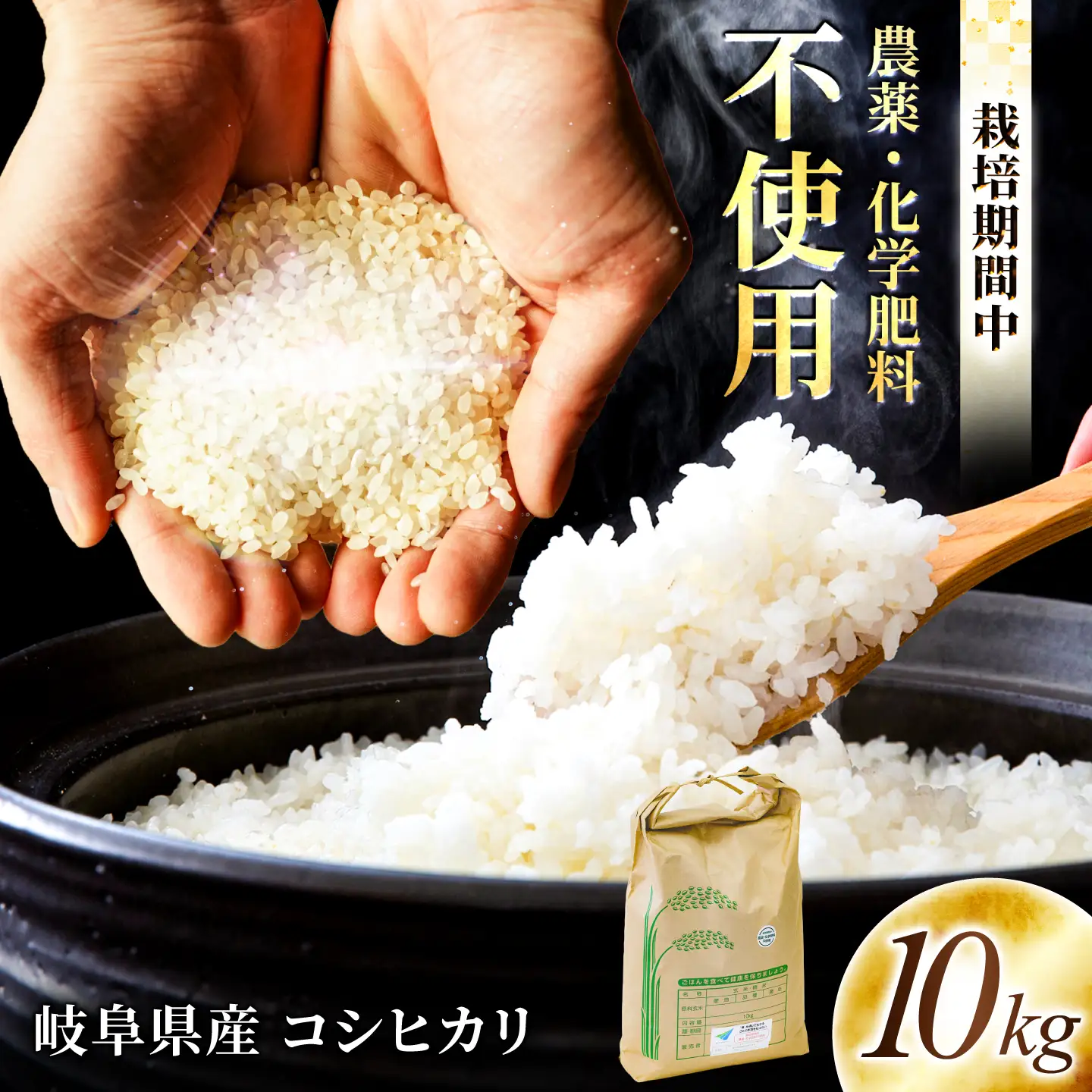 コシヒカリ 白米 10kg 環境配慮型農業で育てた岐阜県のお米 精米 米 岐阜県産 岐阜市 / 岐阜トヨペット[ANKH008]