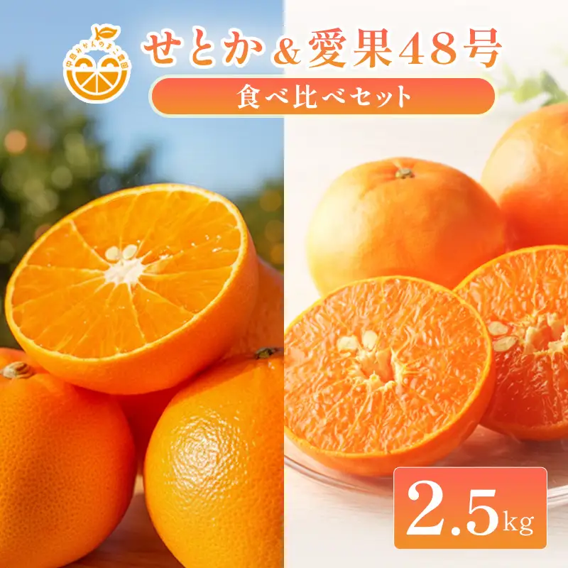 中島産 せとか＆愛果48号 食べ比べセット 約2.5kg 中島みかんのまこ